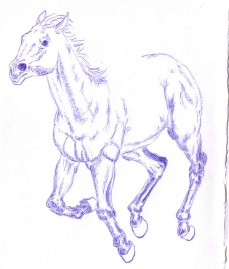 horse_8