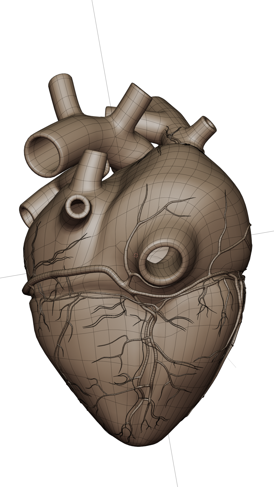 Basic Heart Model 2d Heart model - Finished Projects - Blender Artists Community