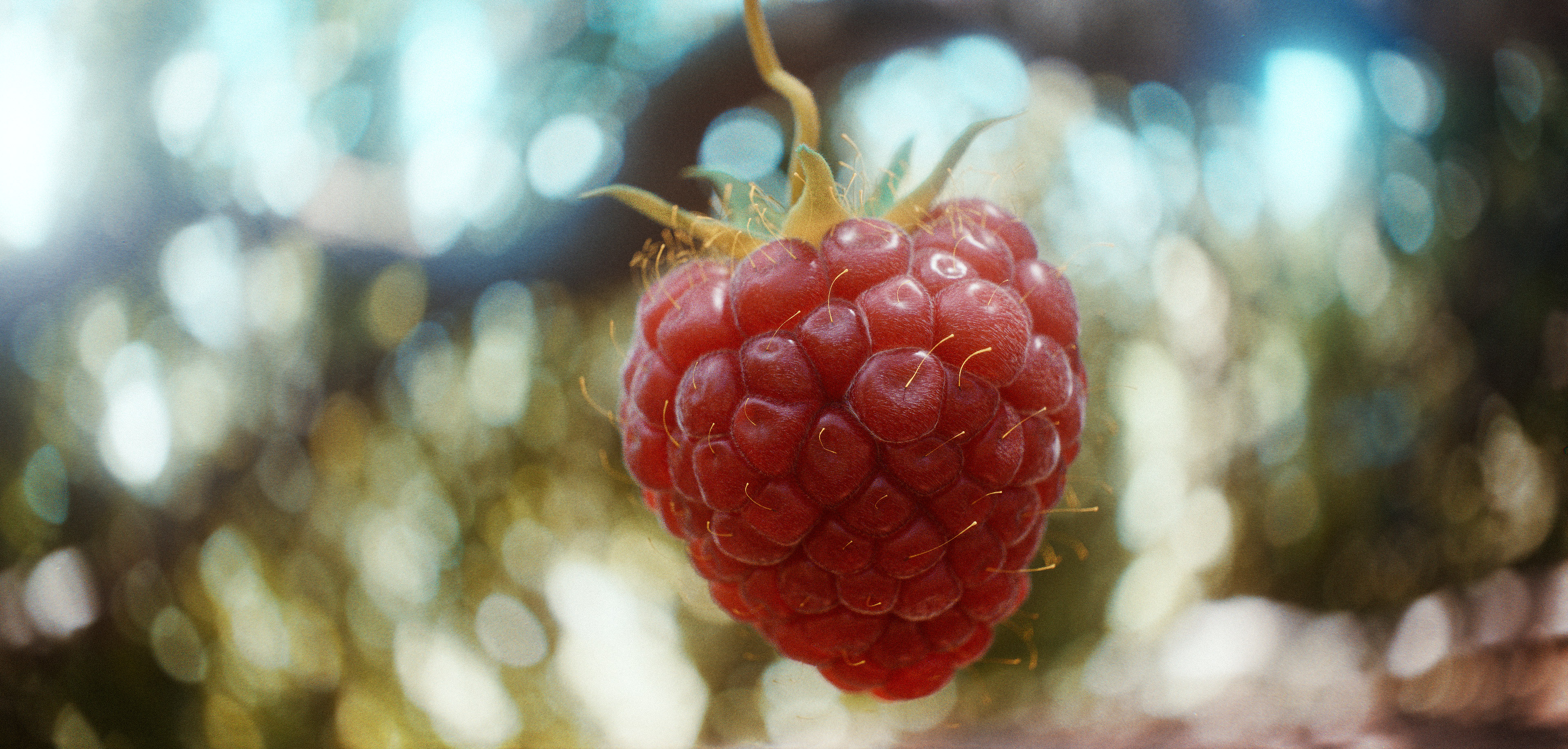 Raspberry - Finished Projects - Blender Artists Community