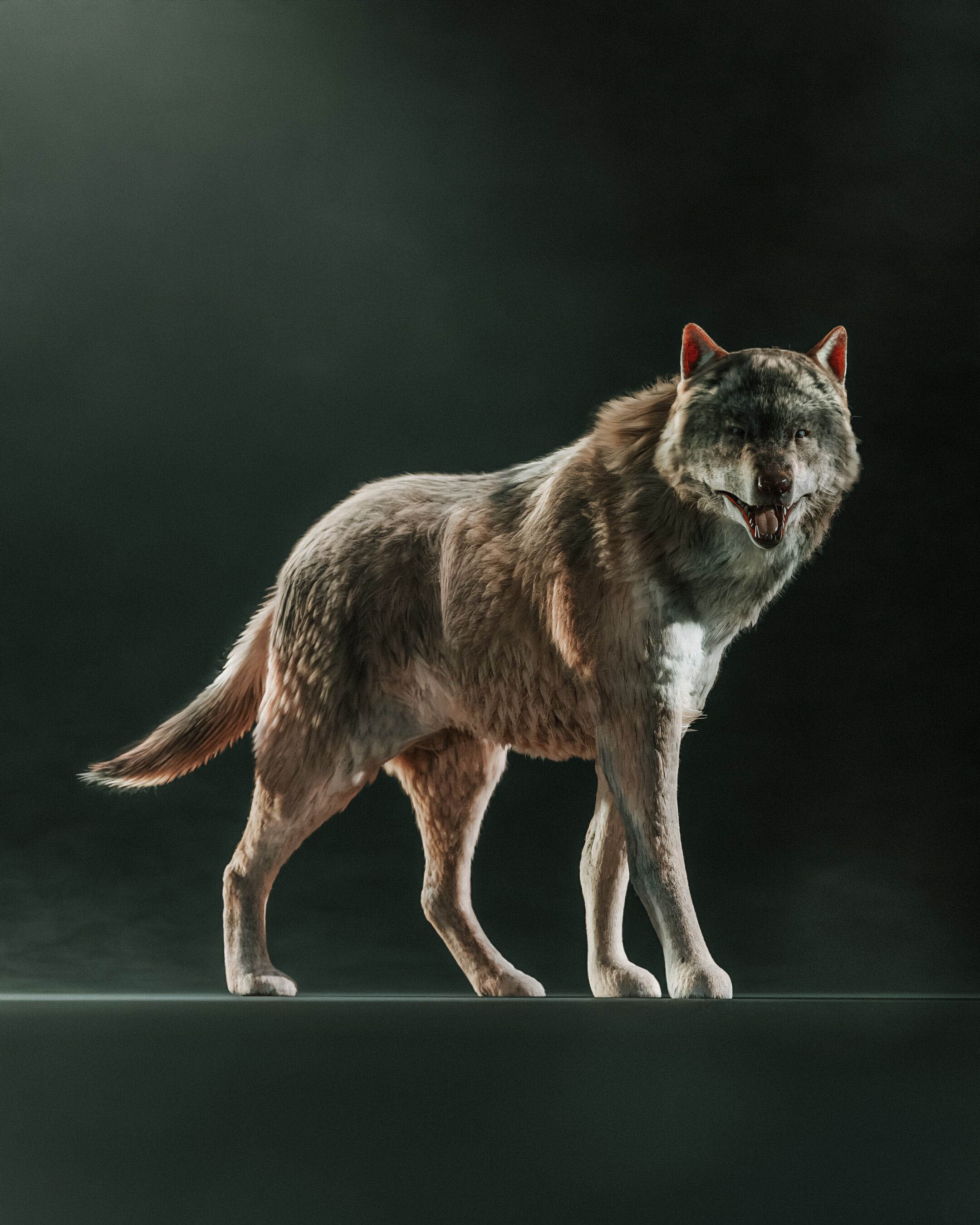 Wolf fur grooming - Finished Projects - Blender Artists Community
