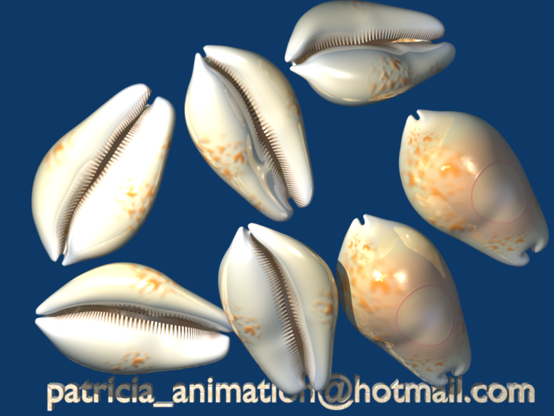 CowrieShell 3D Model Created in Blender 
patricia_animation@hotmail.com - See this image on Photobucket.