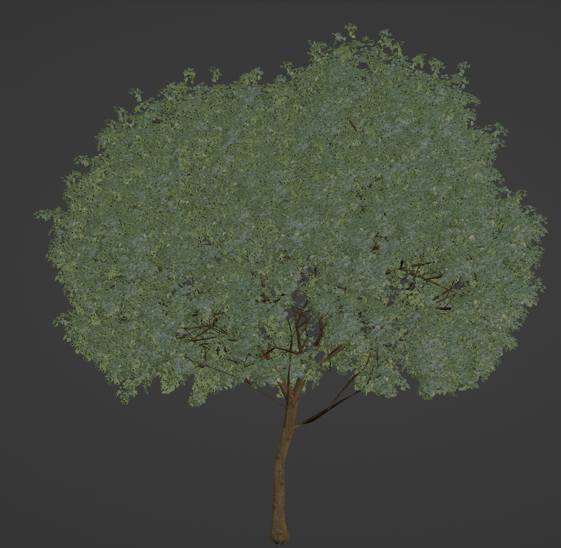 Tree Material 2d 2D-Trees with better shadows / part2 - Materials and Textures - Blender ...
