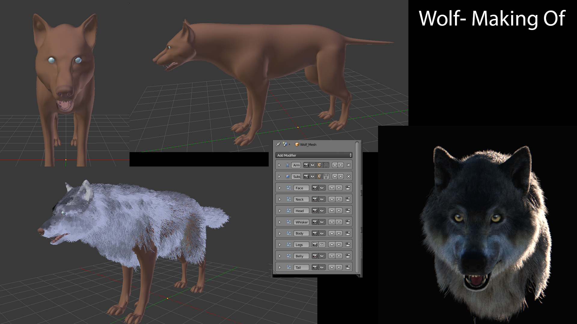 Realistic Wolf (Blender Cycles) Making Of - Works in Progress - Blender  Artists Community