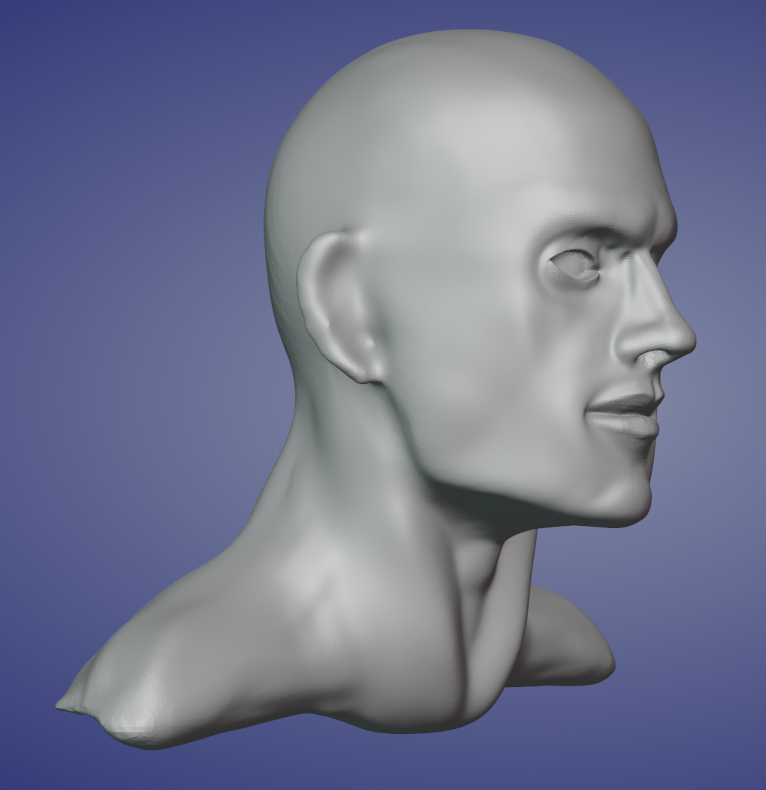 Sculpting human face - Works in Progress - Blender Artists Community
