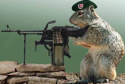 http://mobilnegyed.pcworld.hu/apix/0707/army_squirrel.jpg