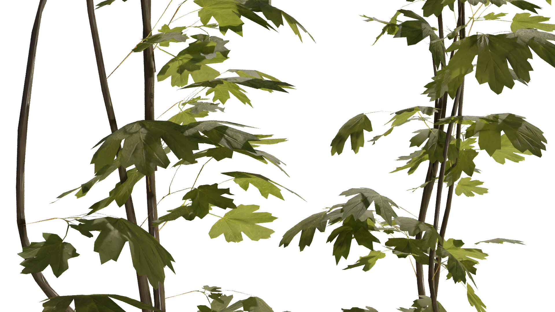 Foliage showcase - Finished Projects - Blender Artists Community