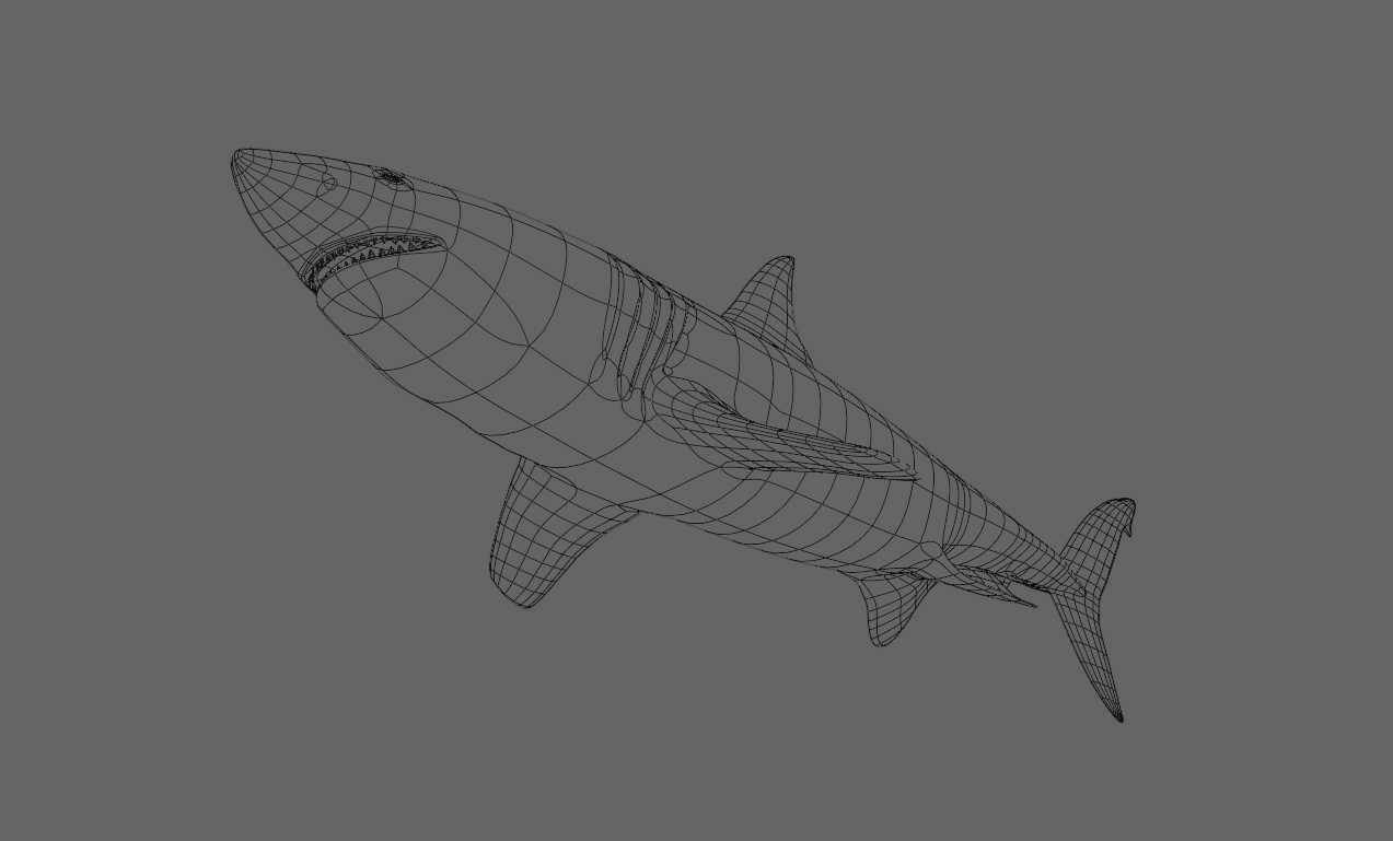 Gills on a Shark - What's the best method? - Modeling - Blender Artists  Community