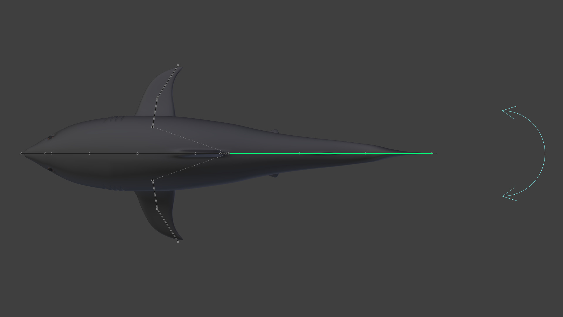 Great White Shark - Modeling - Blender Artists Community