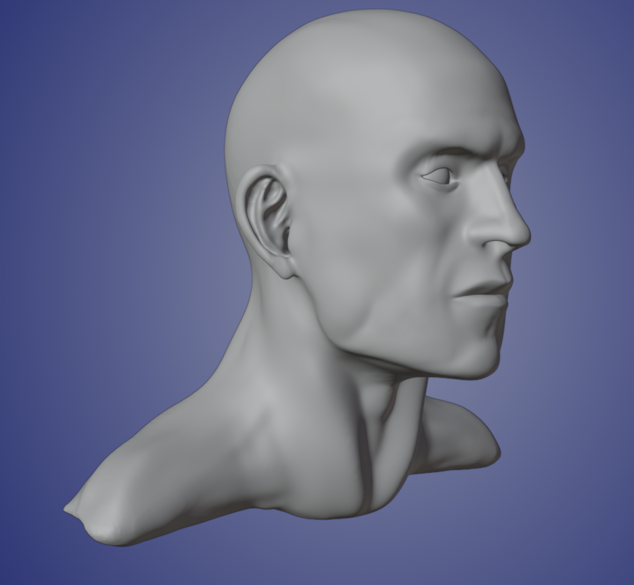 Sculpting human face - Works in Progress - Blender Artists Community
