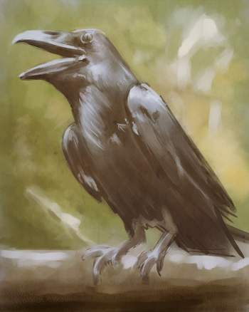 http://www.kjartantysdal.com/images/sketchbook/03/crow.jpg