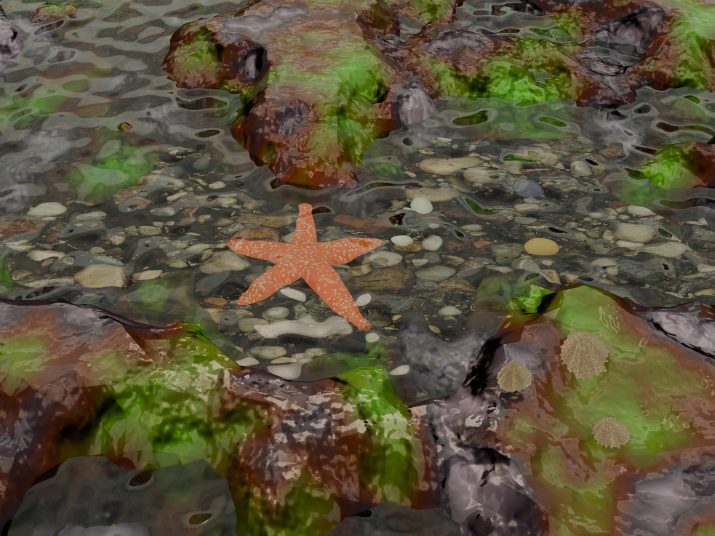 Rockpool Ripples Rockpool - Finished Projects - Blender Artists Community