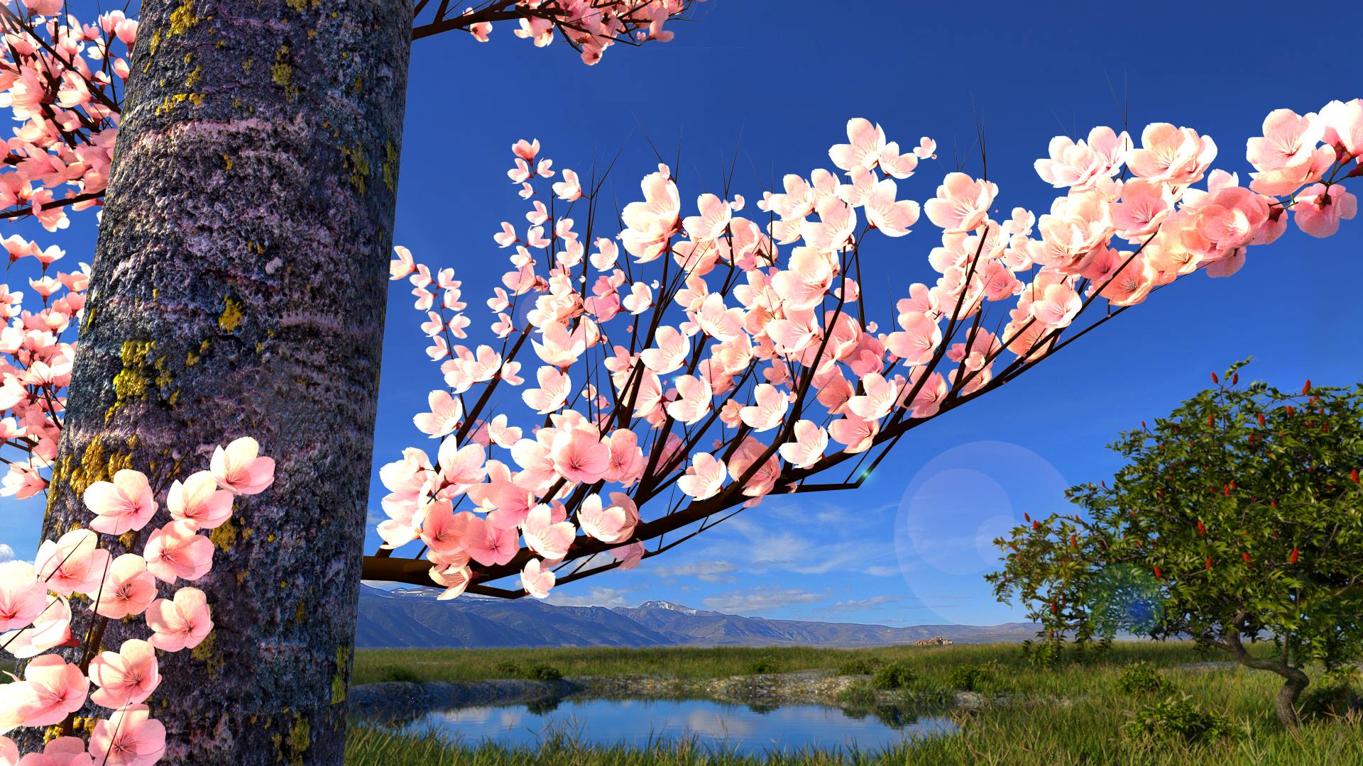 Nature_Explosion - Finished Projects - Blender Artists Community