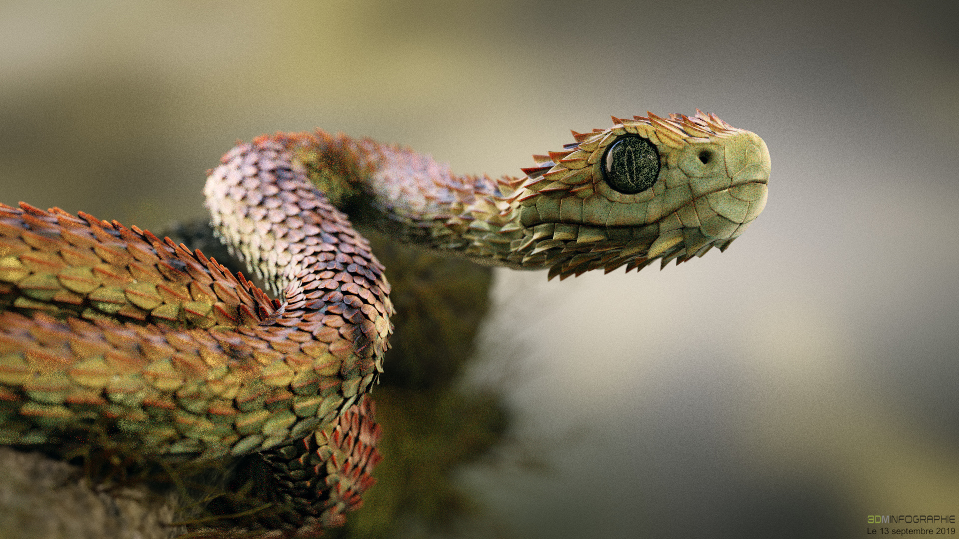 21 Atheris Hispida Images, Stock Photos, 3D objects, & Vectors
