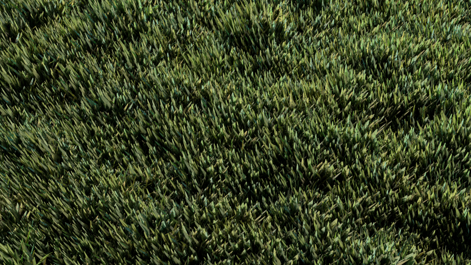 Viva Hav brud Realistic Grass Attempt - Works in Progress - Blender Artists Community