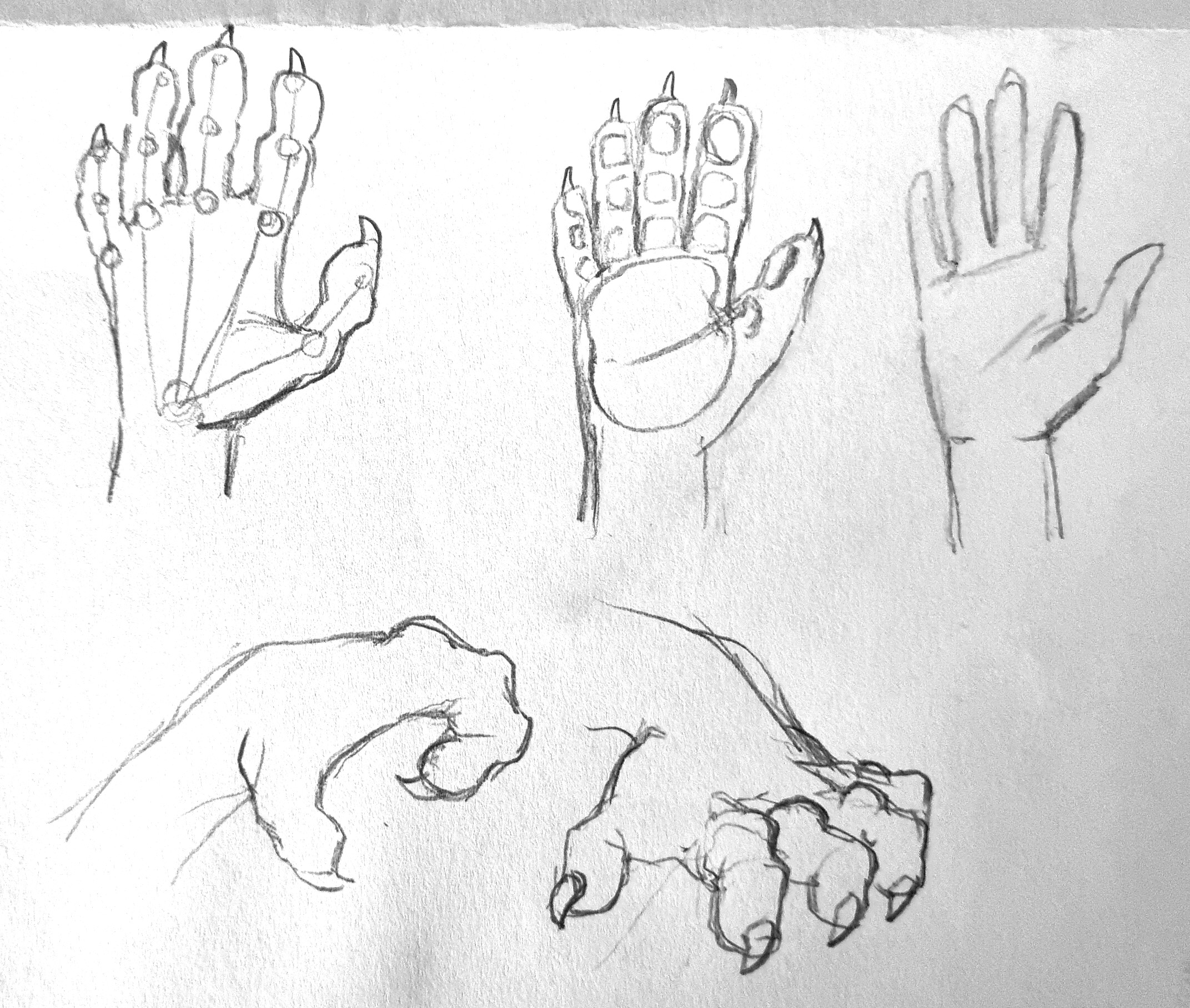 How to Draw a Skeleton Hand - HelloArtsy