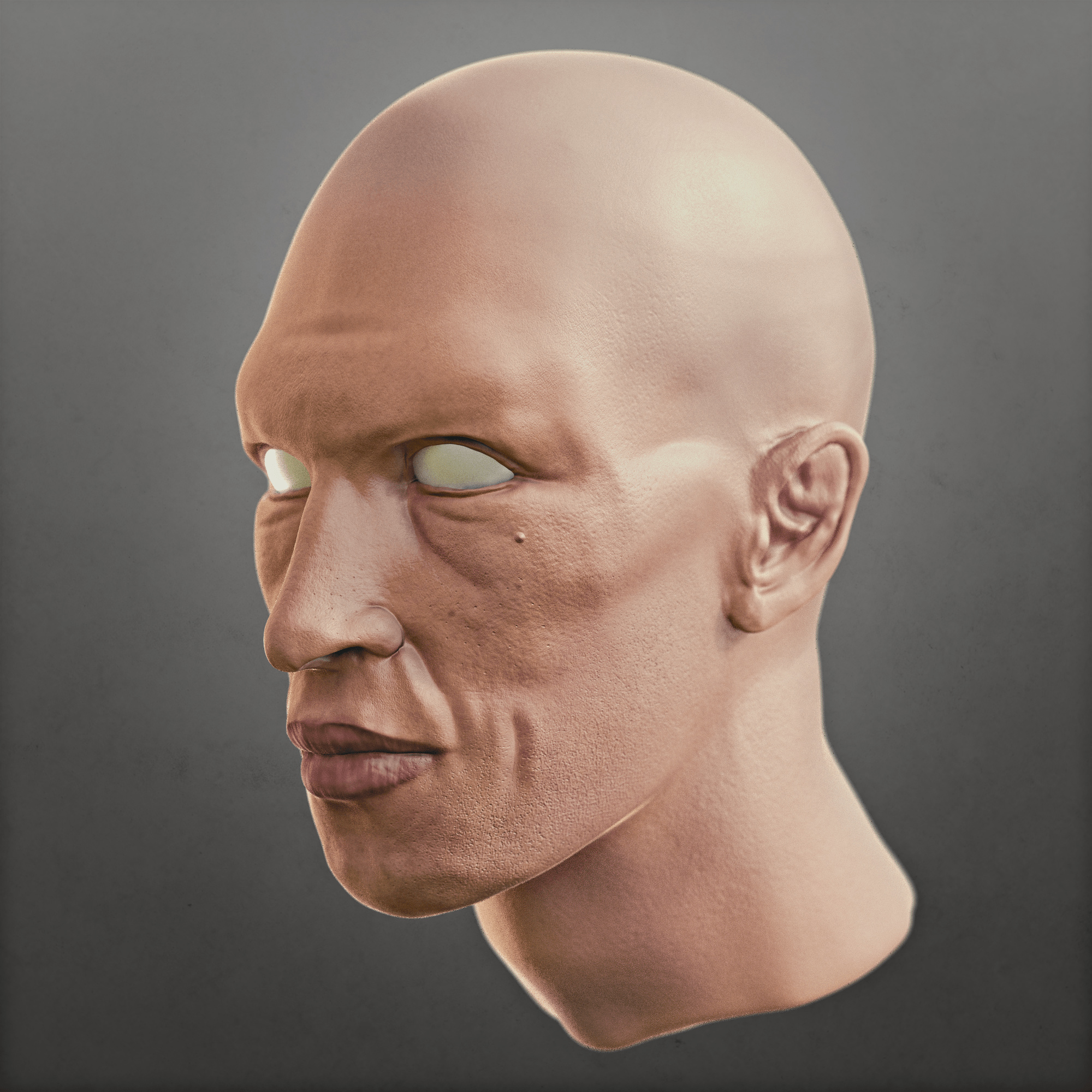 Realistic male head sculpt - Finished Projects - Blender Artists Community