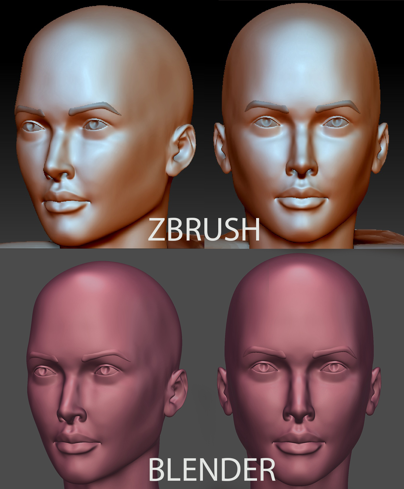 zbrush cant see other side normals