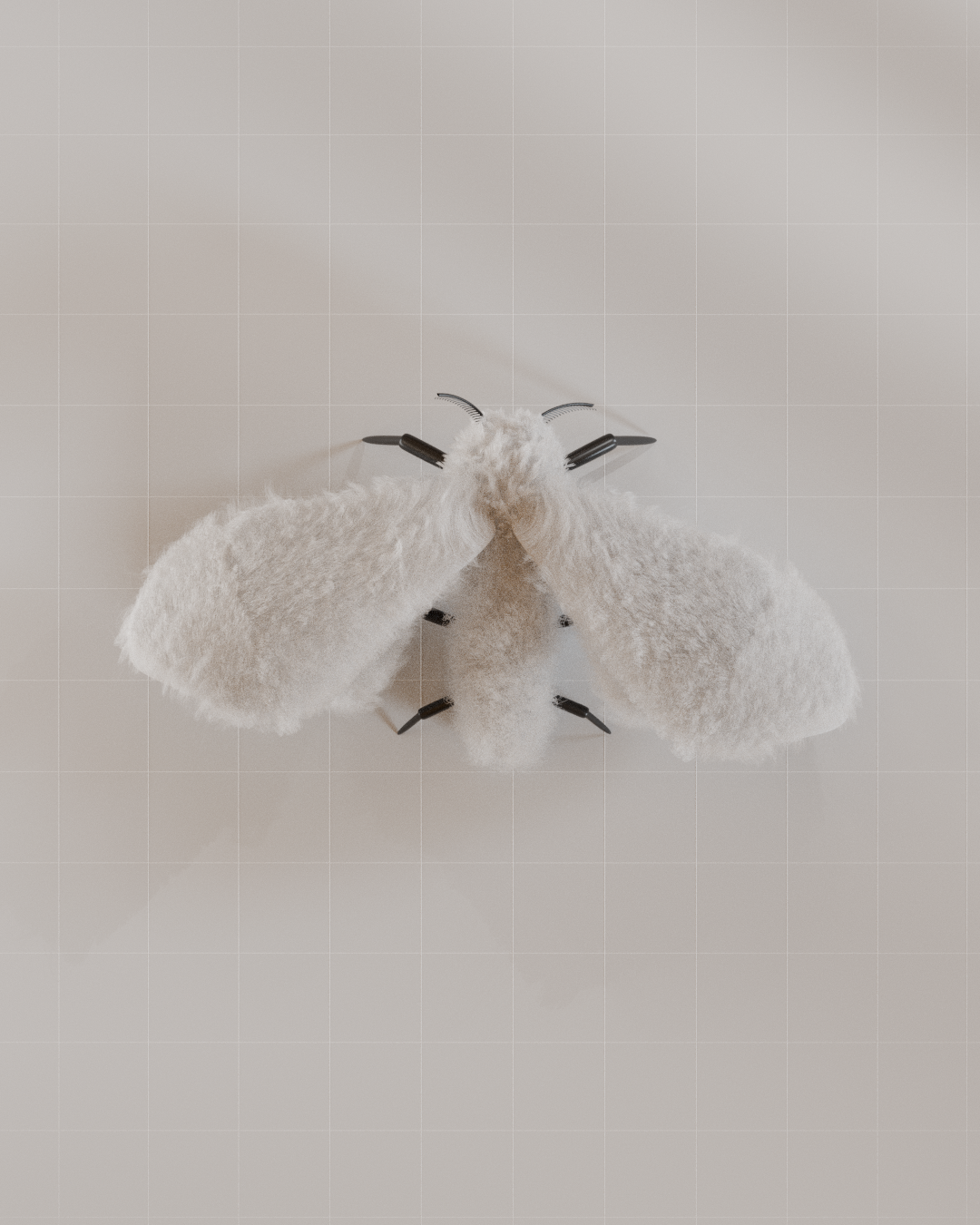 Moth Sound Animation Fantasy Moth - Animations - Blender Artists Community