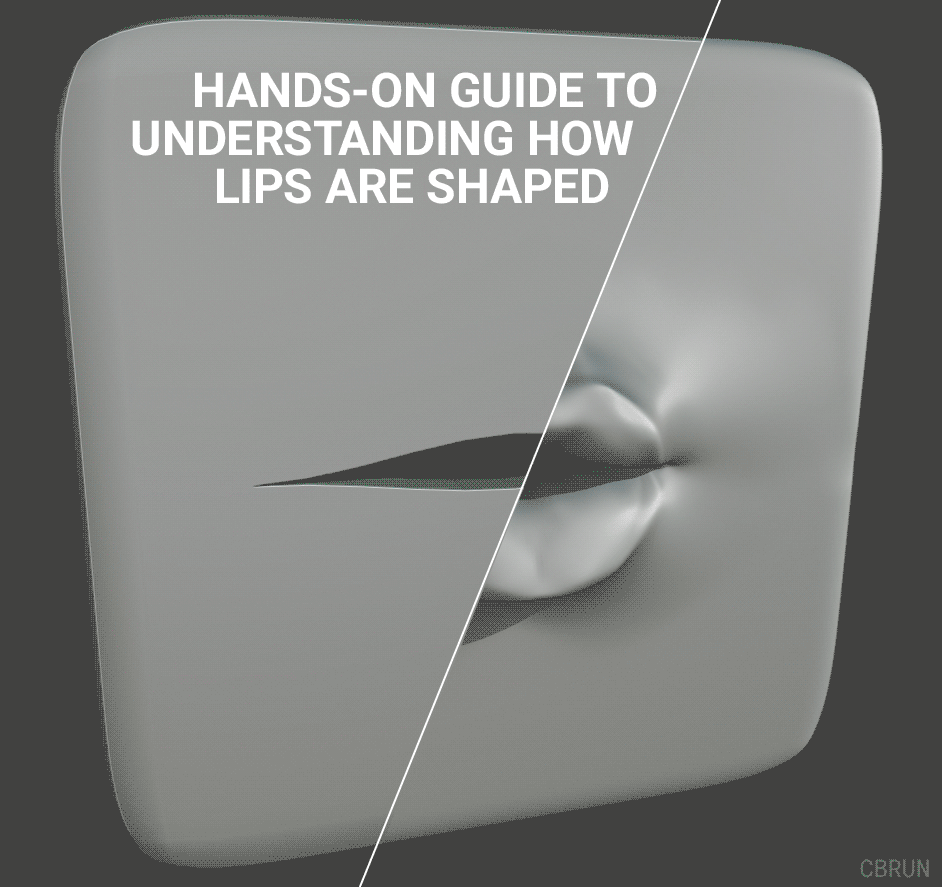 how_lips_work