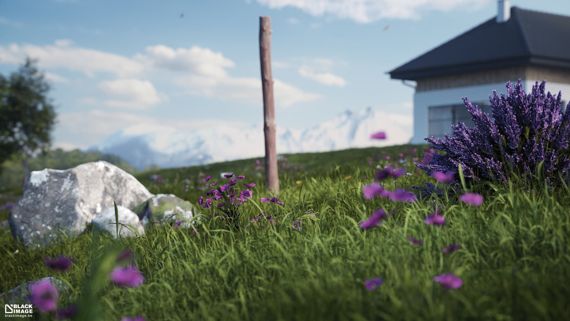 Hill House - Finished Projects - Blender Artists Community
