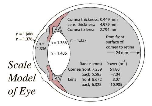 eye-scale