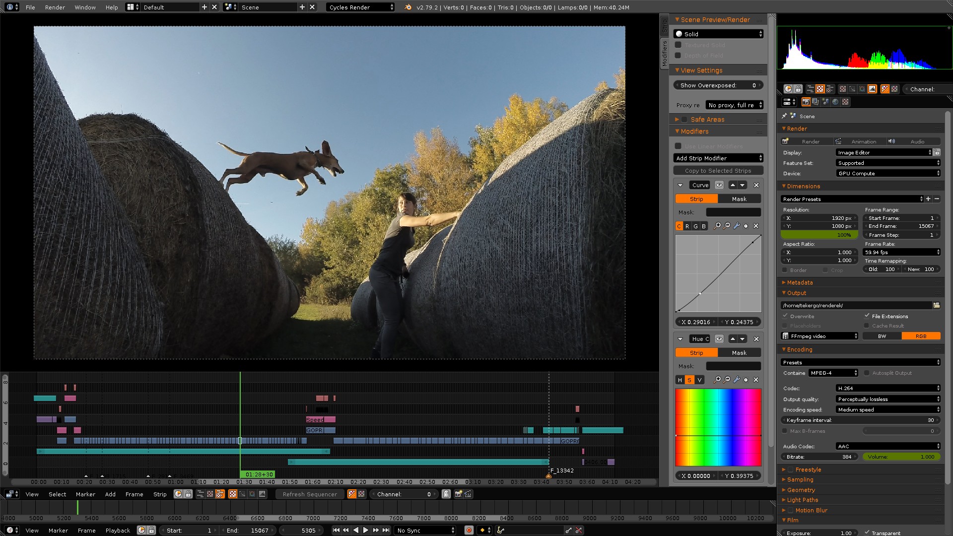 Essential Features for Video Editing in Blender