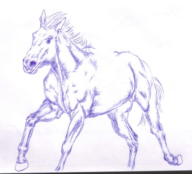 horse_3