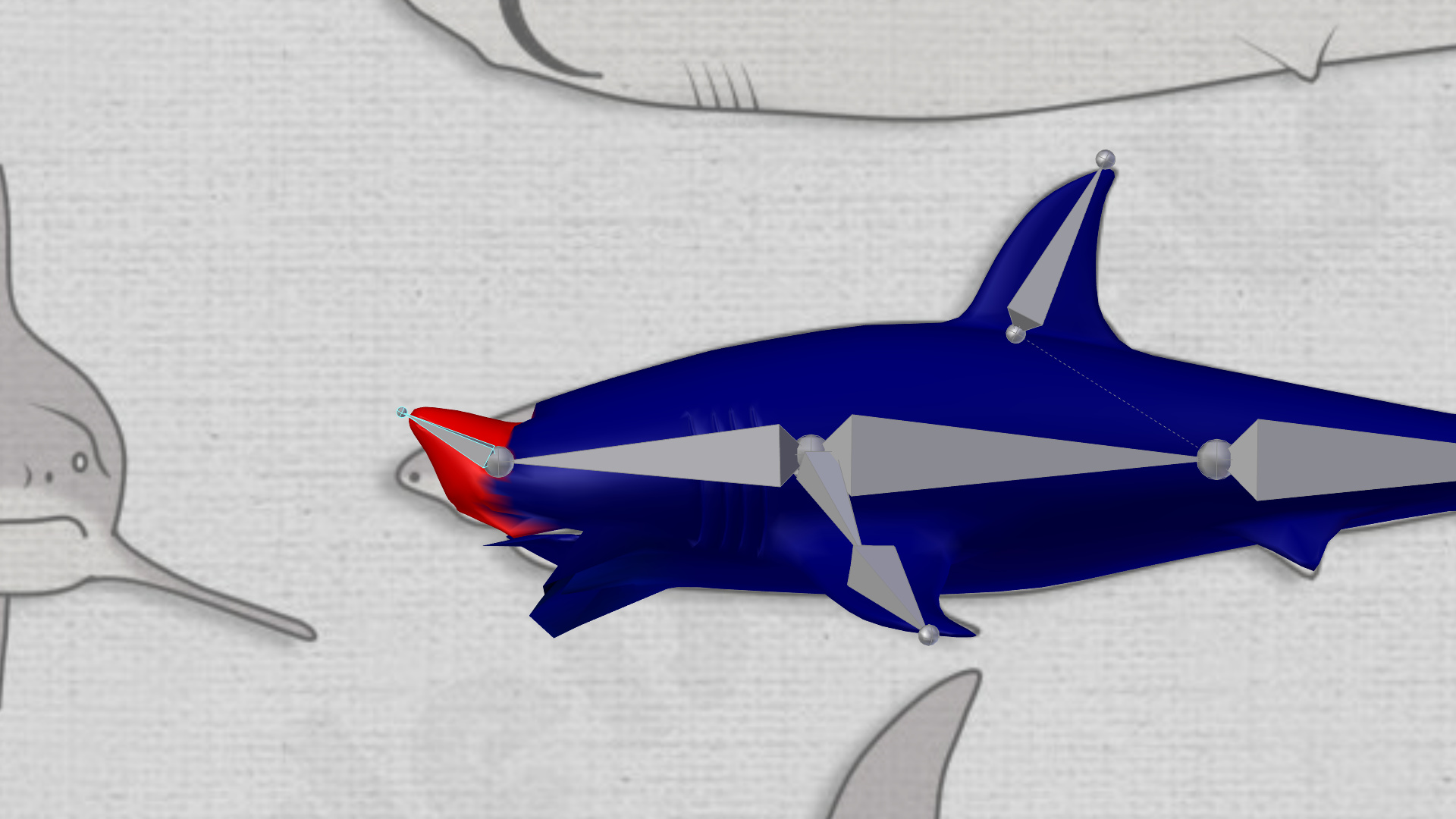 Blender rigging series No. 3 - Rigging a shark 