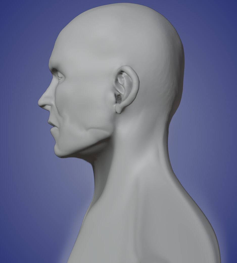 Sculpting human face - Works in Progress - Blender Artists Community