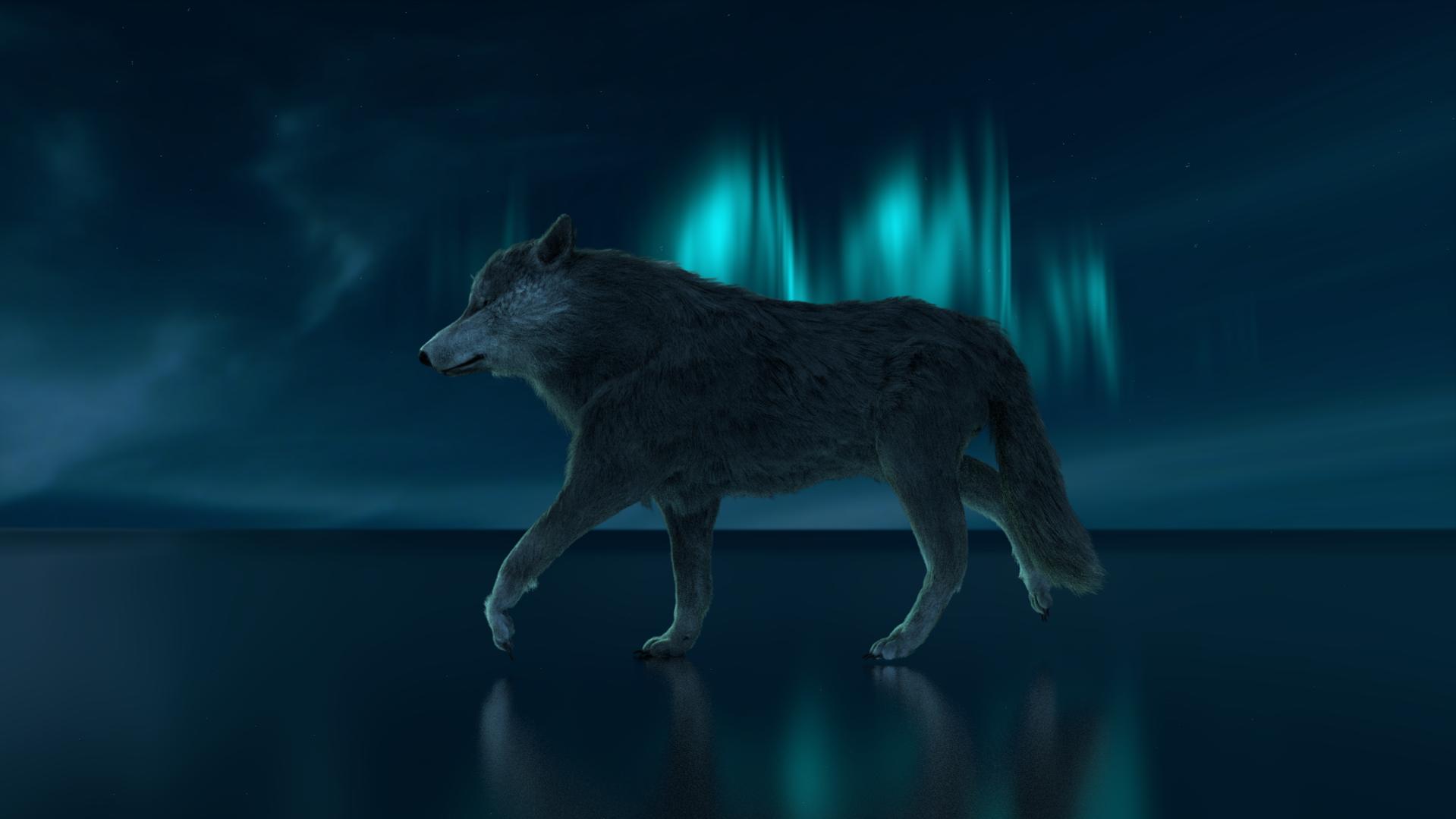 wolf animation
