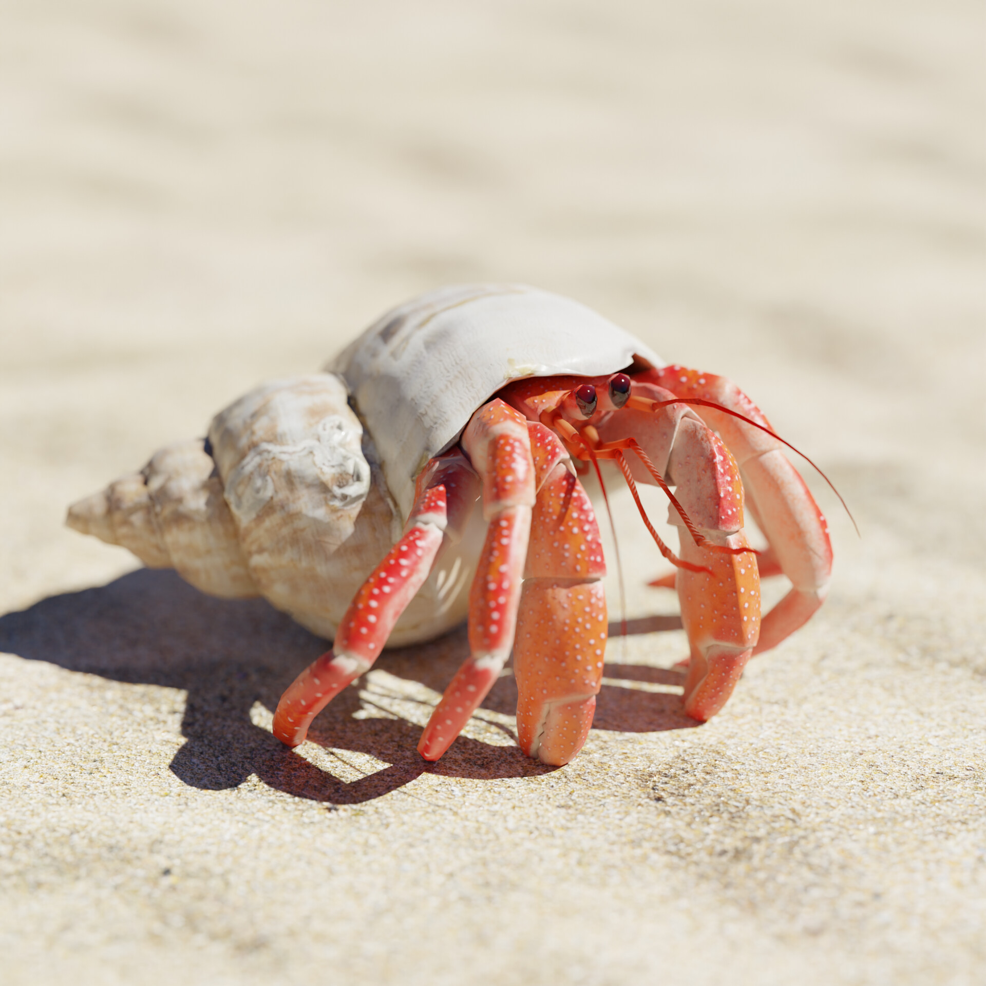 Hermit Crab - Finished Projects - Blender Artists Community