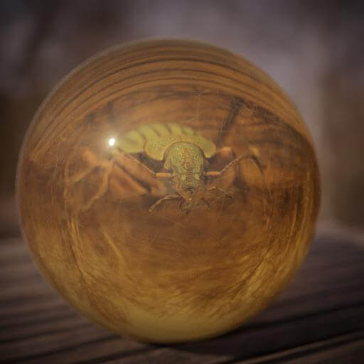 Beetle-inside-amber-head-view-3d-render