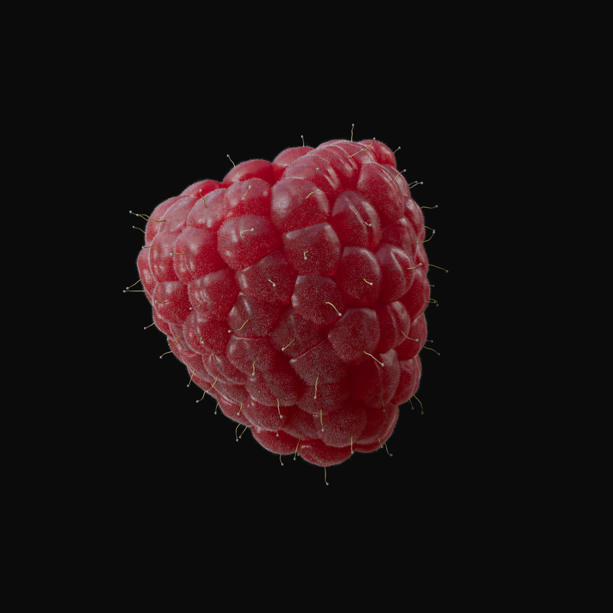 Raspberry Texture Map Rendering Raspberry Help - Materials and Textures - Blender Artists ...