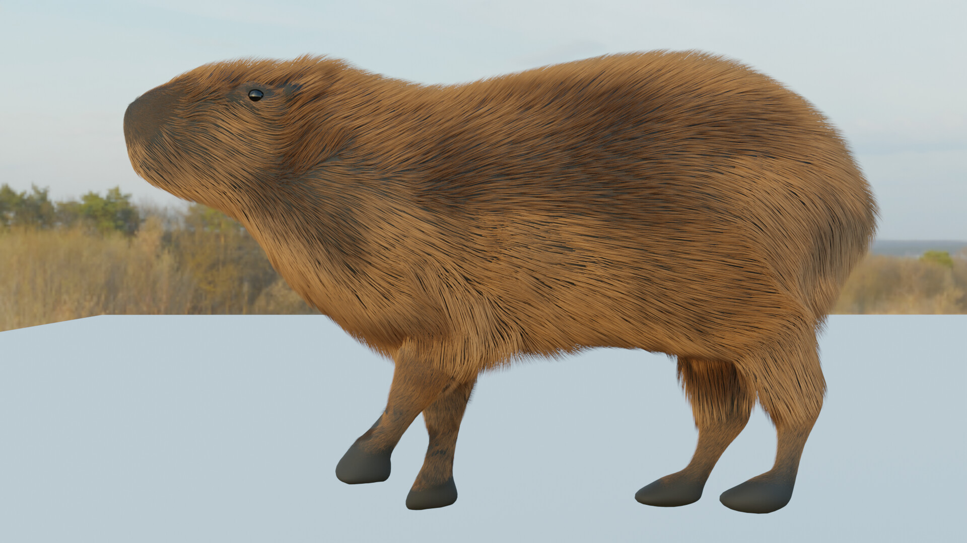 Capybara Works