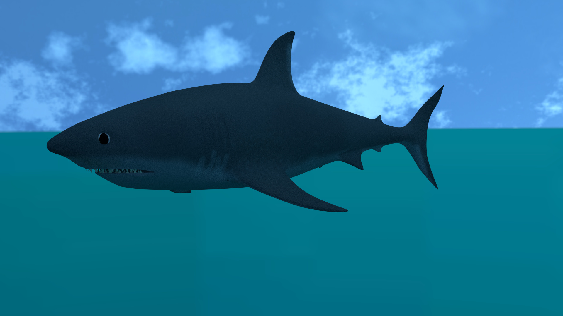 Shark - Works in Progress - Blender Artists Community