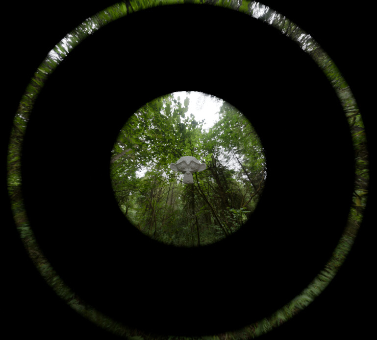 Lens Sim - Page 3 - Released Scripts and Themes - Blender Artists Community