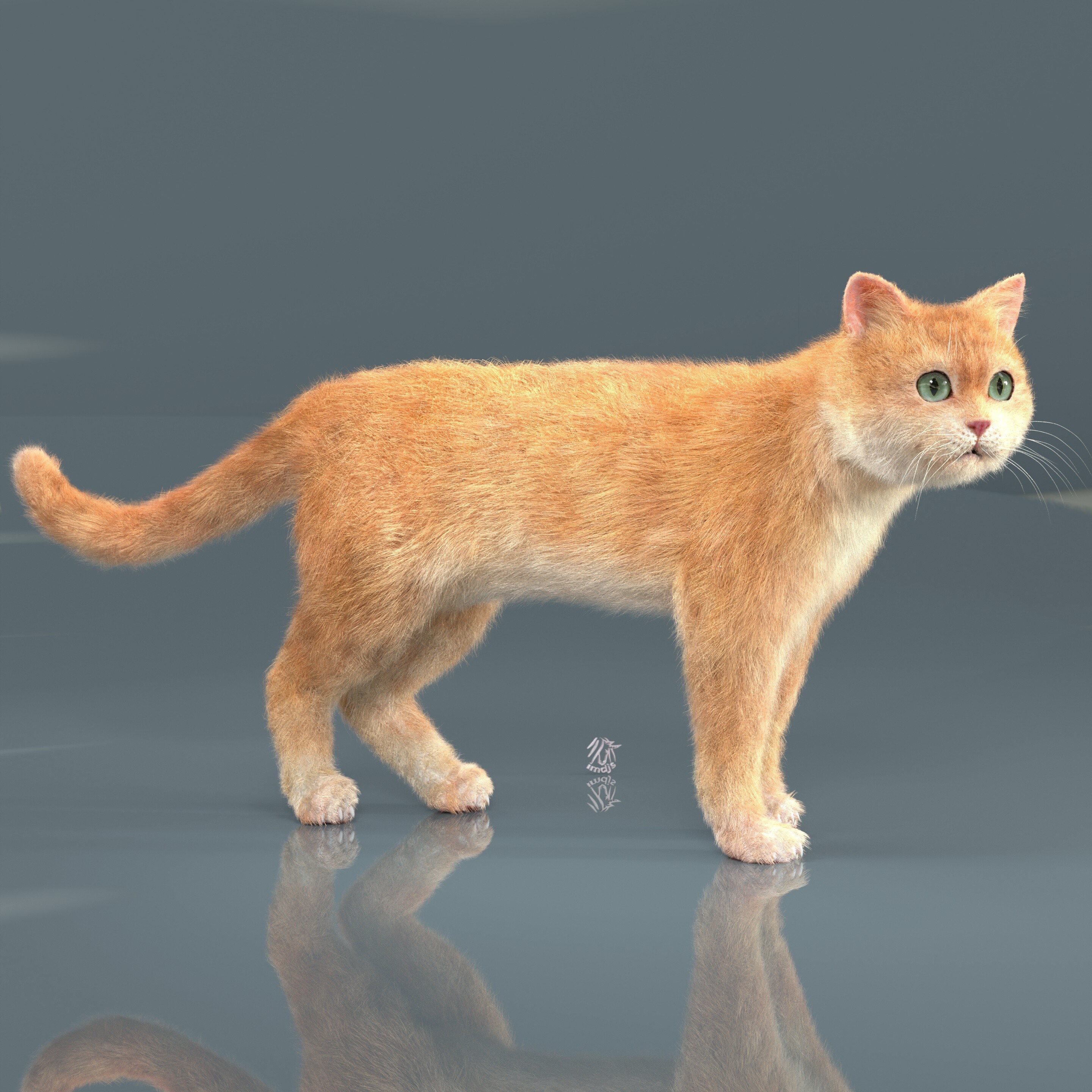 The Parameterized Cat - Finished Projects - Blender Artists Community