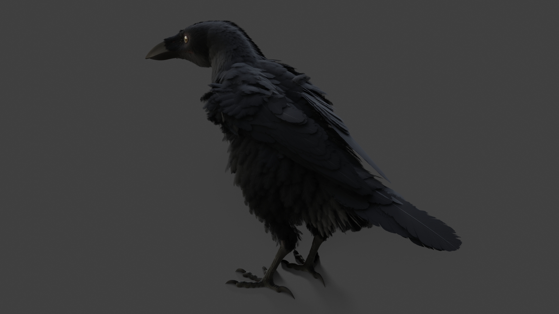 Realistic Stylized Crow in Blender 2.8 Eevee - Works in Progress ...