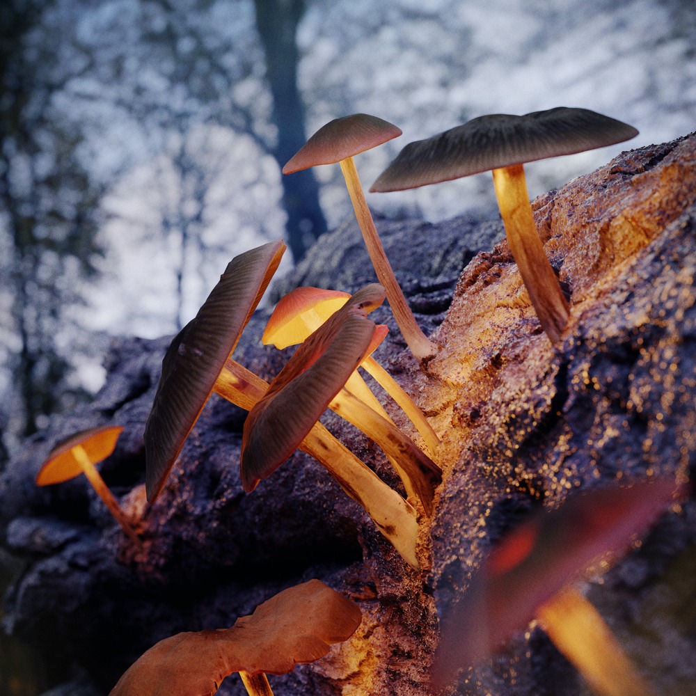 Glowing Mushrooms - Finished Projects - Blender Artists Community