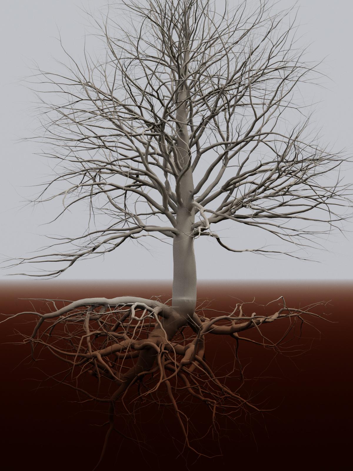 Blender Roots Modular Tree - Page 28 - Released Scripts and Themes - Blender Artists ...
