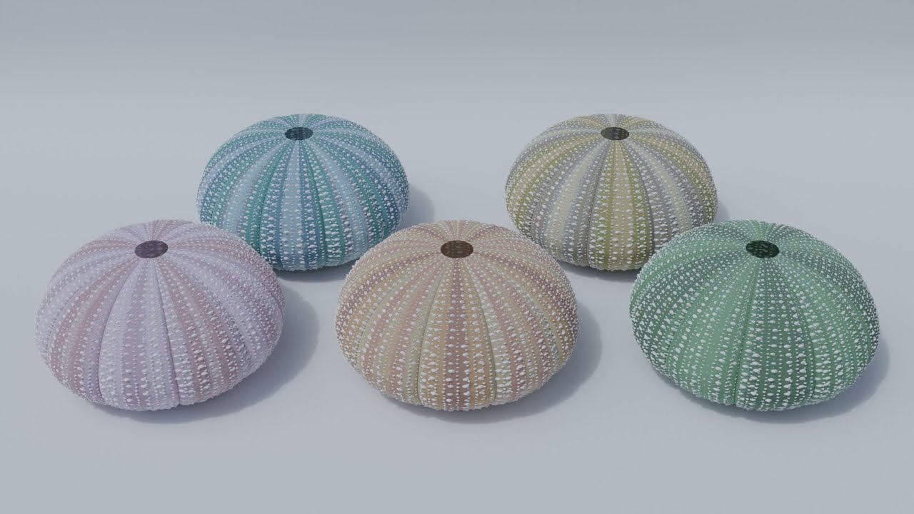 Blender Shell Texture Trying make a texture fan from a center point out - Materials and ...