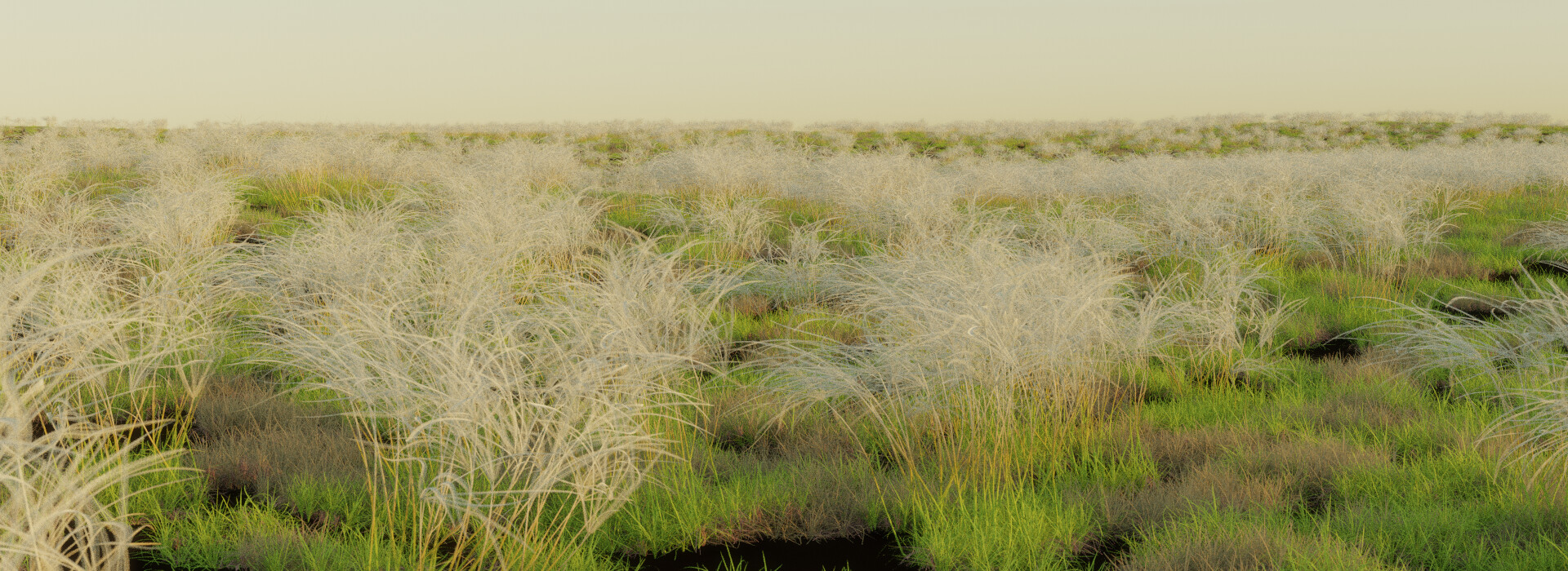 The Extensive Grass Library - Finished Projects - Blender Artists Community