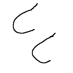 breasts