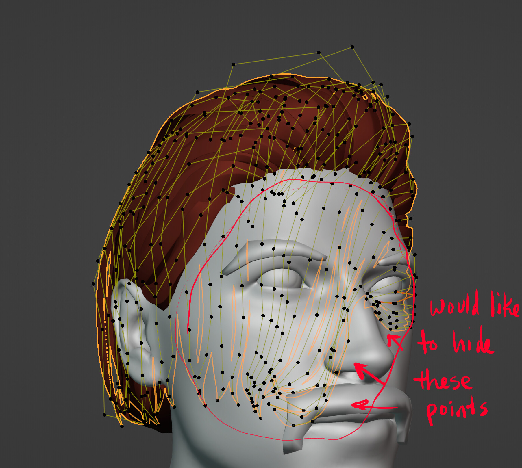 Hide Curve Backface? - Basics & Interface - Blender Artists Community