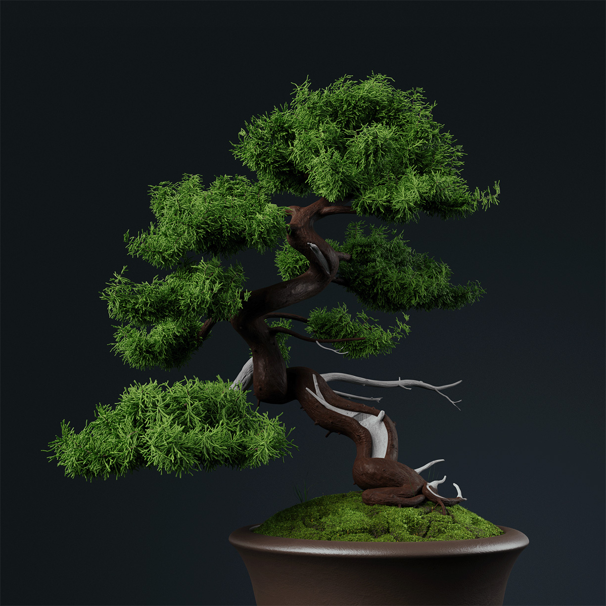 Chinese Juniper Bonsai 3D model - Finished Projects - Blender Artists ...