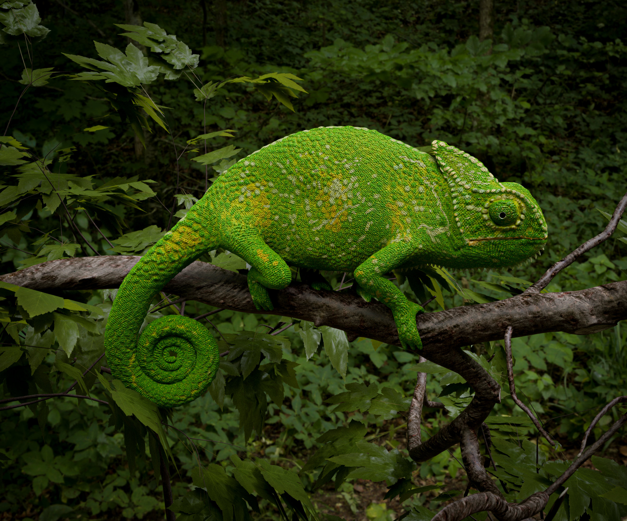 A hungry Chameleon - Finished Projects - Blender Artists Community
