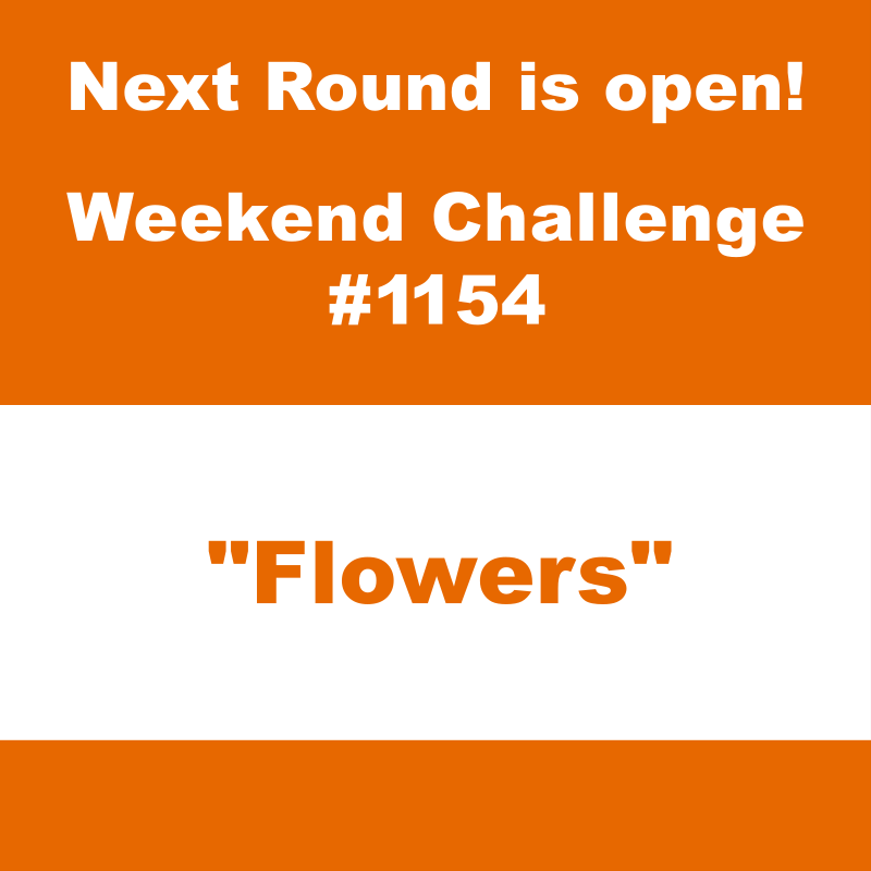 Thumbnail_1154