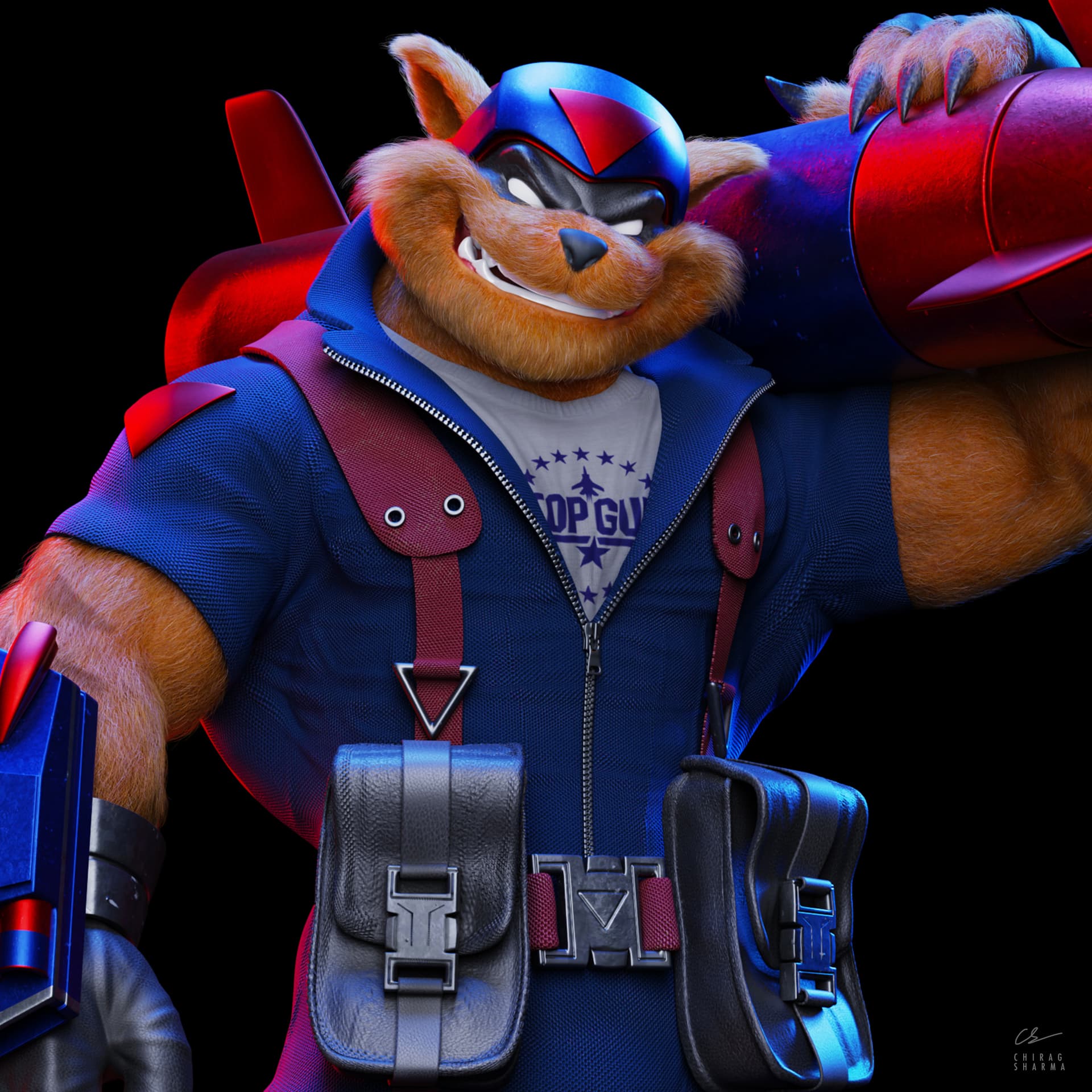 Swat kats chance