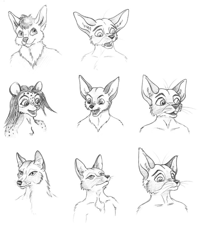 How to get better at drawing canine faces - Off-topic Chat - Blender ...