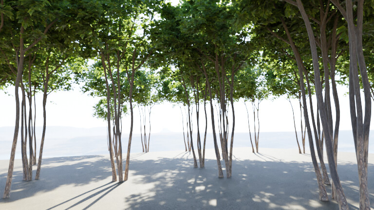 How to get more light under the translucent leaves of trees - Lighting and  Rendering - Blender Artists Community